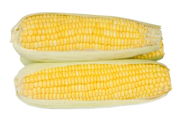 Fresh corn. — Stock Photo, Image