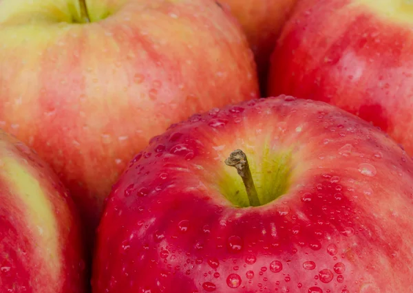 Färskt rött äpple. — Stockfoto