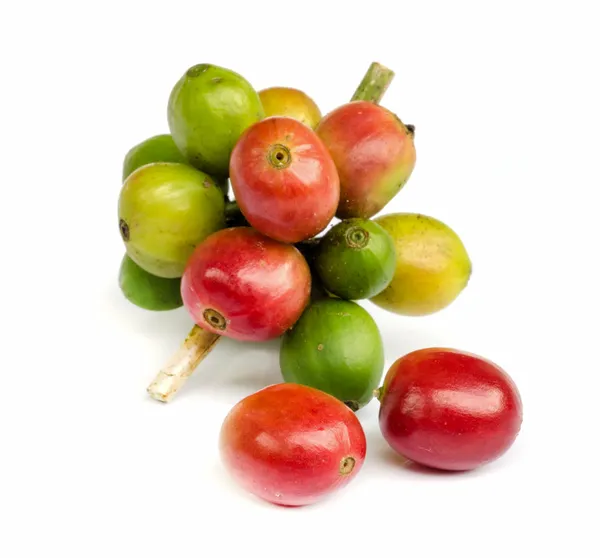 Red ripe coffee beans. — Stock Photo, Image