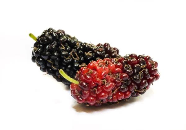 Mulberry — Stock Photo, Image