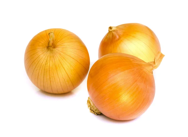 Ripe onion . — Stock Photo, Image