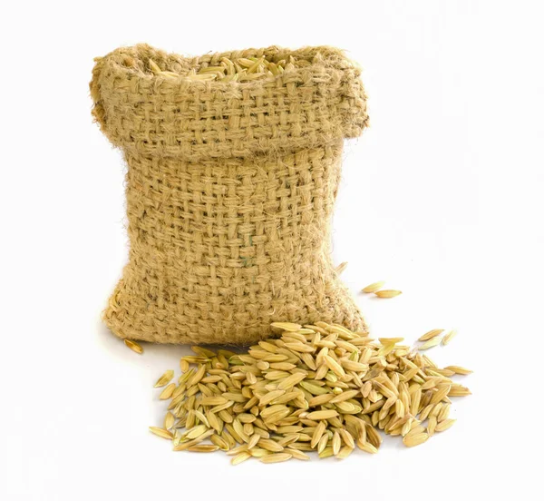 Paddy rice seed. — Stock Photo, Image