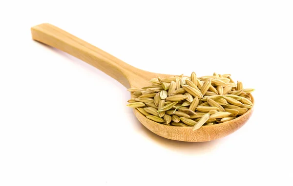 Rice seed. — Stock Photo, Image