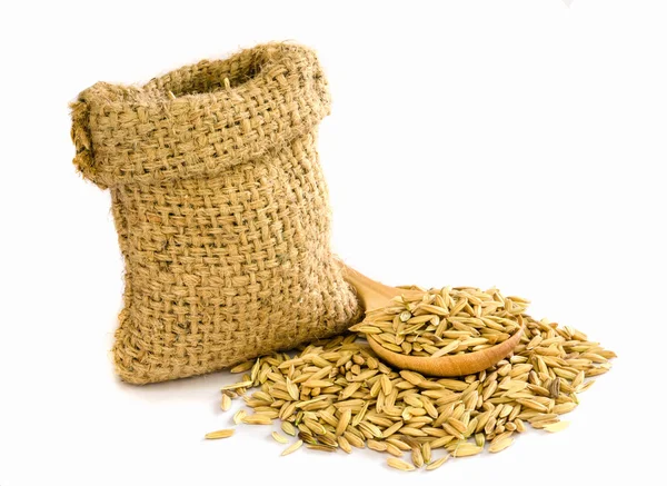 Paddy rice seed. — Stock Photo, Image