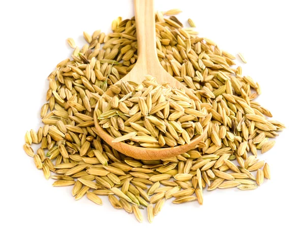 Rice seed. — Stock Photo, Image