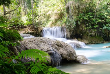 Tad kwang sri şelale, luang prabang Eyaleti, Uluslararası Danışma Kurulu.