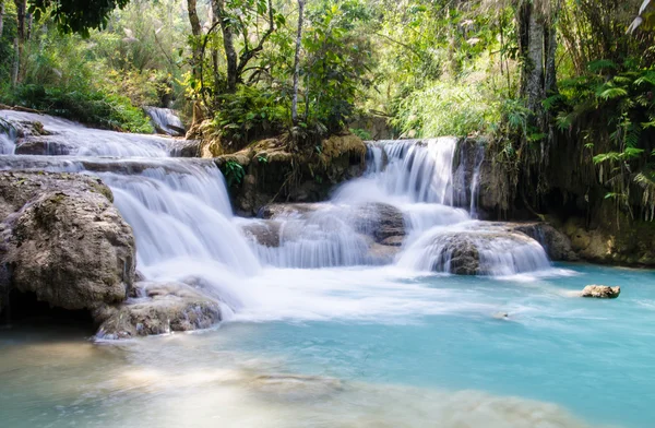 Tad Kwang Sri Waterfall , Luang Prabang Province, Loa. — Stock Photo, Image