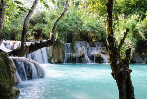 Tad Kwang Sri Waterfall , Luang Prabang Province, Loa. — Stock Photo, Image