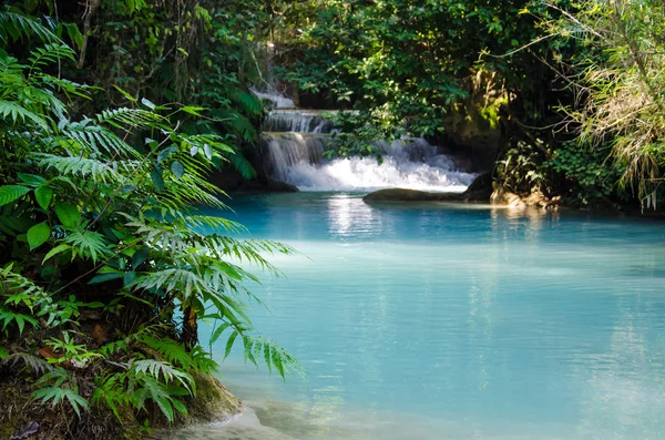 Tad kwang sri waterval, luang prabang provincie, loa. — Stockfoto