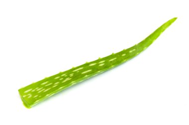 aloe vera yaprağı .