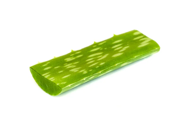 Hoja de aloe vera  . — Foto de Stock