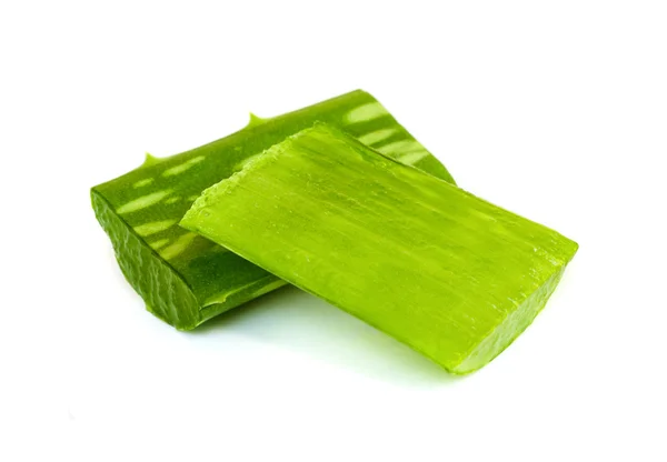 Hoja de aloe vera  . — Foto de Stock