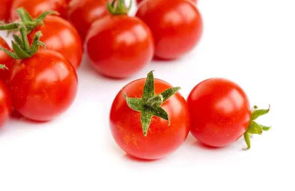 Legumbre de tomate . —  Fotos de Stock