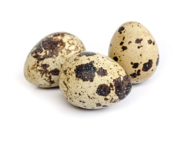bıldırcın yumurtası,