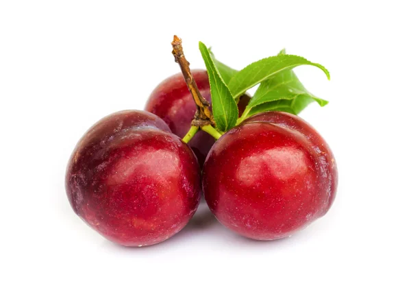 Ripe plums — Stock Photo, Image