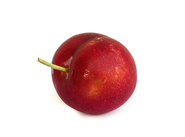 Ripe plums. — Stock Photo, Image