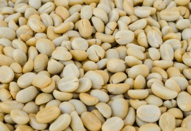 un kavrulmuş kahve çekirdeği.