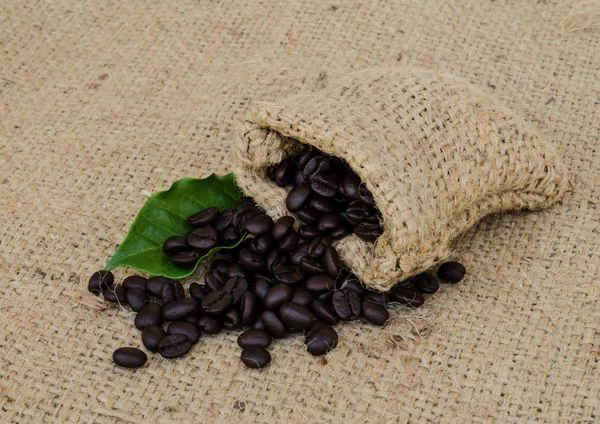 Coffee beans. — Stock Photo, Image