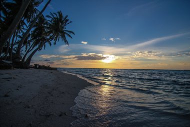 Caribian summer - sunset clipart