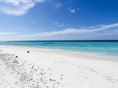 Lonely beach - Caribian summer clipart