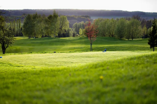 Golf yeşil koyarak — Stok fotoğraf