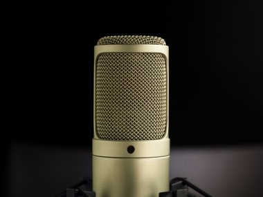 Altın mikrofon