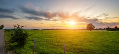 Ağaçları ve mavi gökyüzü olan yeşil bir alan. Güneşli bahar gününde tepede çimlere, ağaçlara ve çiçeklere panoramik manzara