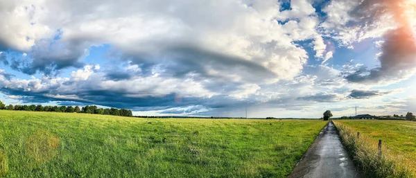 Grönt Fält Med Träd Och Blå Himmel Panoramautsikt Över Gräs — Stockfoto