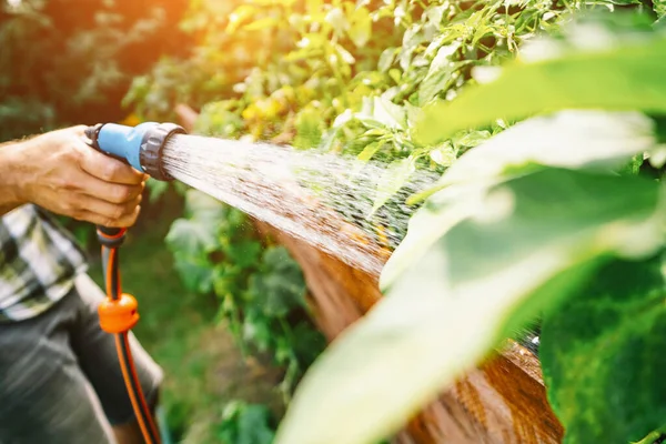 Unrecognisable Man Watering Flower Bed Using Watering Can Gardening Hobby — Stock Photo, Image