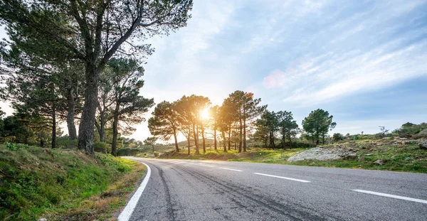 Camino Montaña Largo Vacío Hacia Horizonte Día Soleado Verano Atardecer —  Fotos de Stock