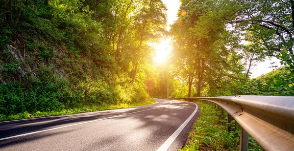 Autostrada Silent Forest Wiosną Pięknymi Promieniami Słońca Wędrowny Żądza — Zdjęcie stockowe