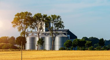 agro-processing and manufacturing plant with silver silos for drying cleaning and storage of agricultural products, flour, cereals and grain. Granary elevator at sunset