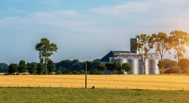 agro-processing and manufacturing plant with silver silos for drying cleaning and storage of agricultural products, flour, cereals and grain. Granary elevator at sunset