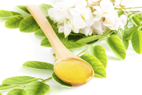 Honey in spoon with acacia flower and leaves — Stock Photo, Image