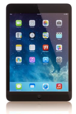 IPAD mini2