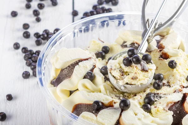 Vanille en chocolade-ijs met blackberry bolletje schepte ou — Stockfoto