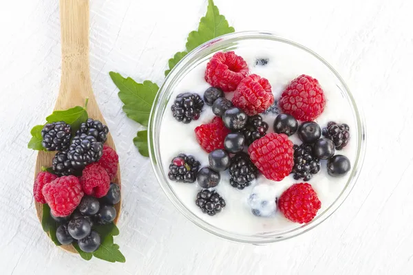 Yoghurt med skogsbær i en skål – stockfoto