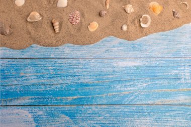 Mavi arka planda, kumların üzerinde deniz kabukları. Yaz tatili, plaj, rahatlama, deniz, okyanus, seyahat konsepti.