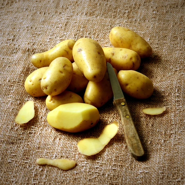 Fresh harvested potatoes Royalty Free Stock Photos