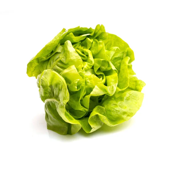 Verse Groene Sla Witte Achtergrond Gezond Eten Concept Vegetarische Levensstijl — Stockfoto