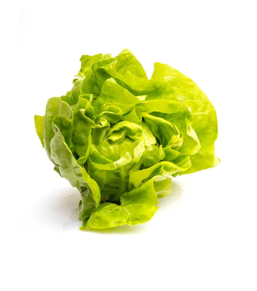 Fresh Green Lettuce White Background Healthy Eating Concept Vegetarian Lifestyle — 图库照片