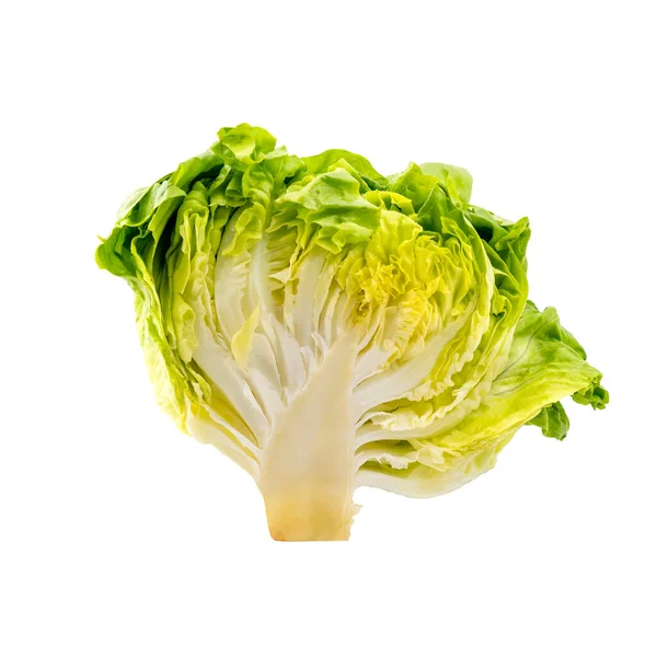 Fresh Green Lettuce White Background Healthy Eating Concept Vegetarian Lifestyle — Zdjęcie stockowe