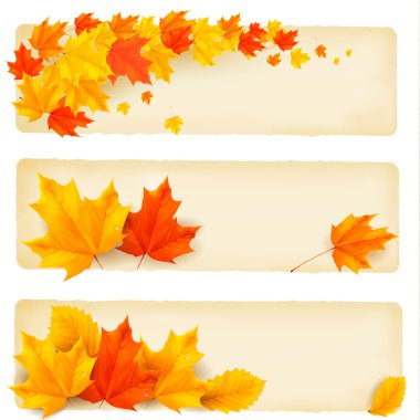 Three autumn banners with colorful leaves Vector clipart