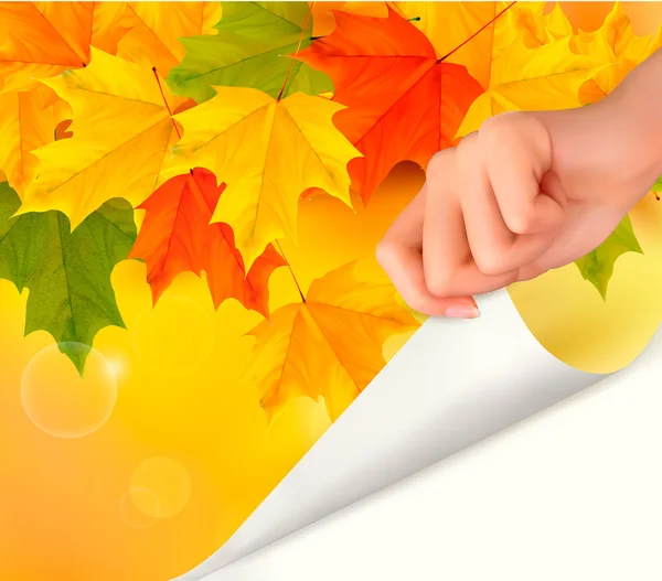 Herbst Hintergrund mit gelben Blättern und Hand — Stockvektor