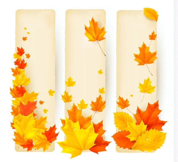 Tres pancartas de otoño con hojas coloridas — Vector de stock