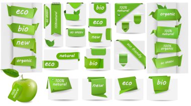 Collection with Eco tags and labels and stickers Vector illustration clipart