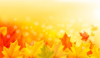 Autumn background with yellow leaves and hand. Vector illustration.