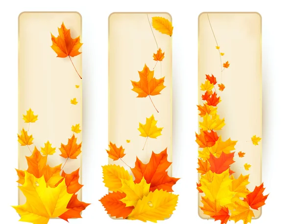 Tres pancartas de otoño con hojas coloridas en marcos dorados. Vector . — Vector de stock