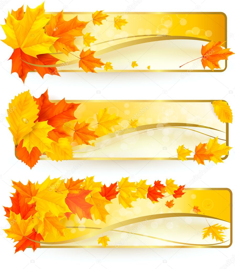 Three autumn banners with colorful leaves in golden frames. Vector.