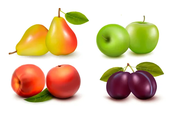 Conjunto de frutas frescas. Vetor — Vetor de Stock